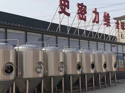 太平精酿啤酒设备厂—如何判断精酿啤酒设备的密封件需要更换？